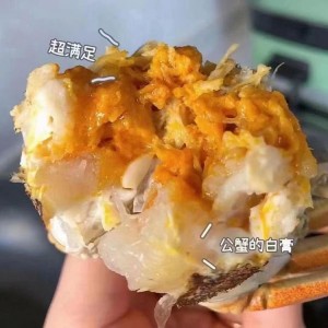 正宗鲜活精品大闸蟹 鲜活直达 淡水人工养殖 全国可发